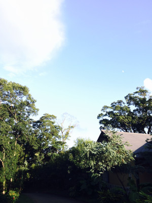 Image_2